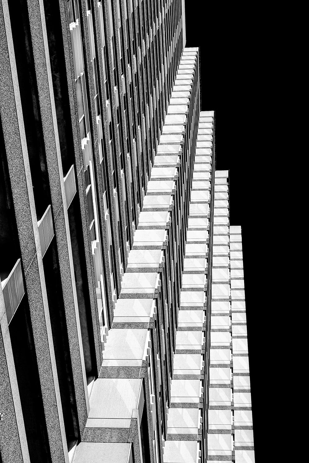 555 Brush | Digital Download